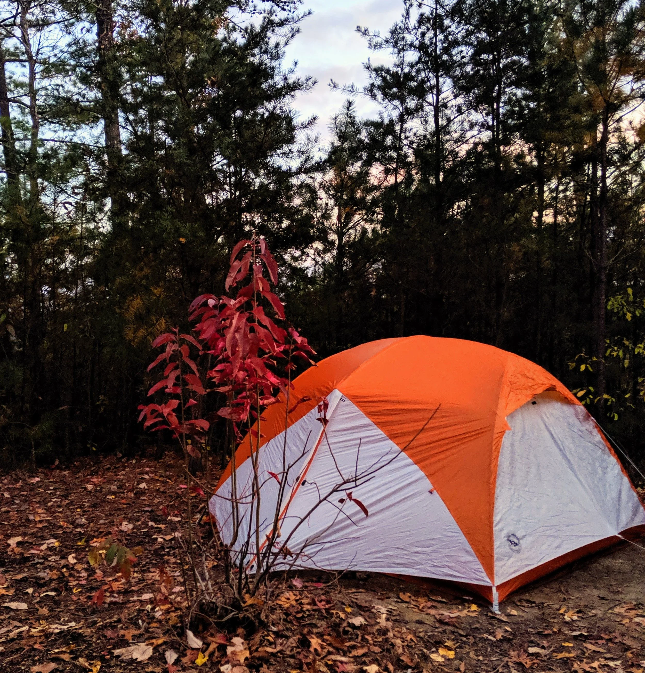 Red river gorge camping deals
